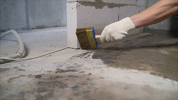24/7 Emergency Crawl Space Encapsulation experts in Arlington Heights, WA